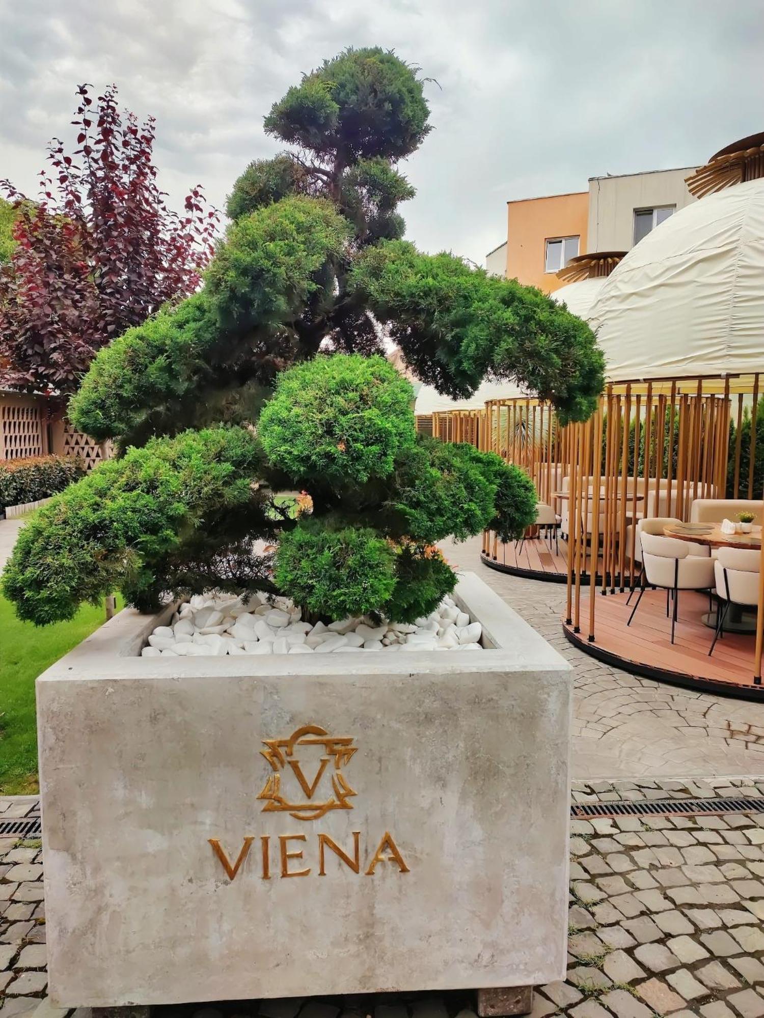 Hotel Viena Satu Mare Exterior photo
